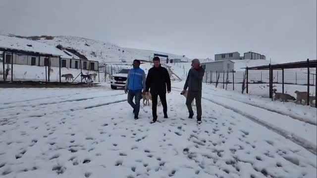 Adıyaman Belediyesi'nden Sessiz Dostlarımıza Ziyaret