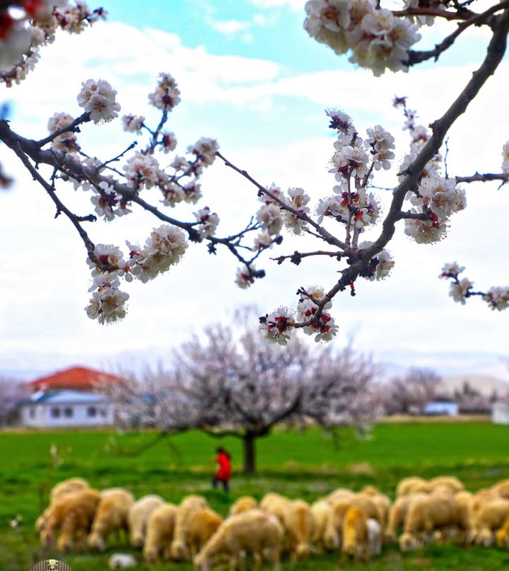 Kahta Müftülüğü Köy Sohbetleri Programına Devam Ediyor