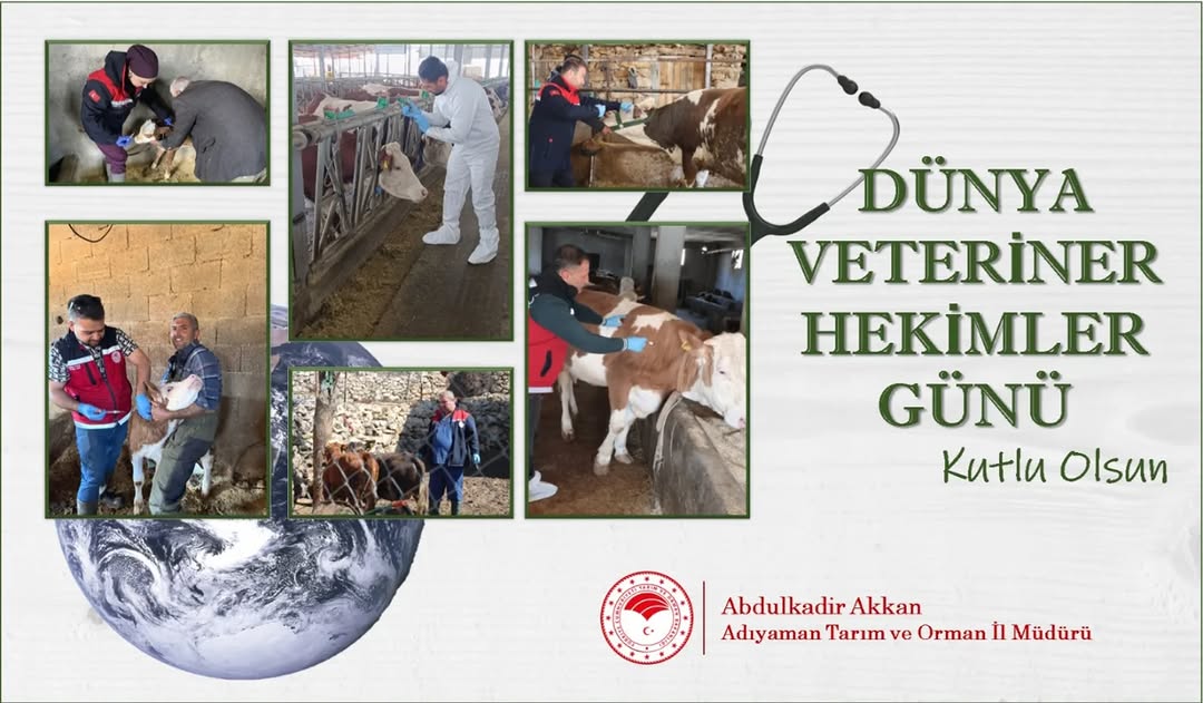 Dünya Veteriner Hekimler Günü Kutlu Olsun!