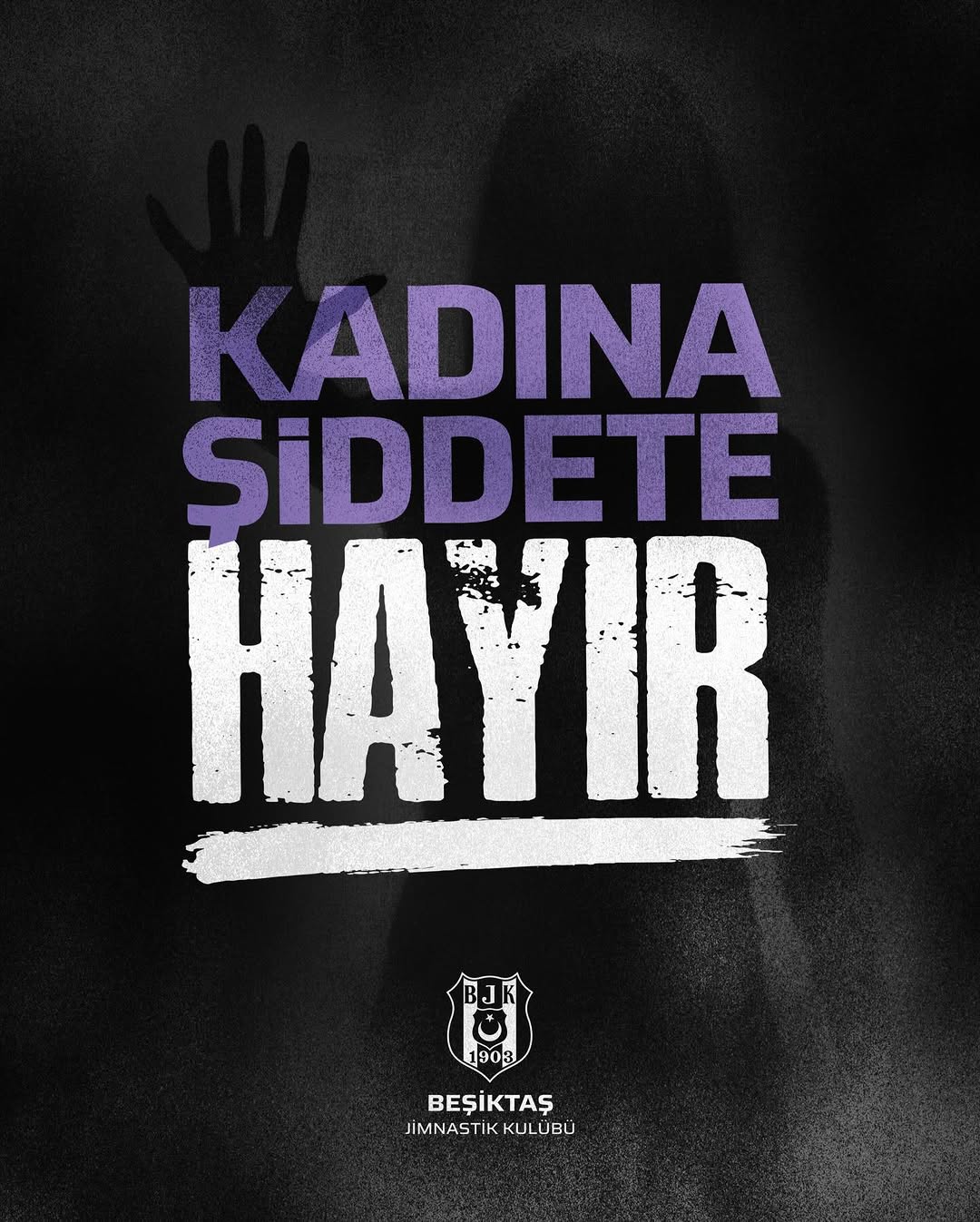 Kadına Yönelik Şiddete Karşı Uluslararası Mücadele Günü’nde KadınaŞiddeteHayır