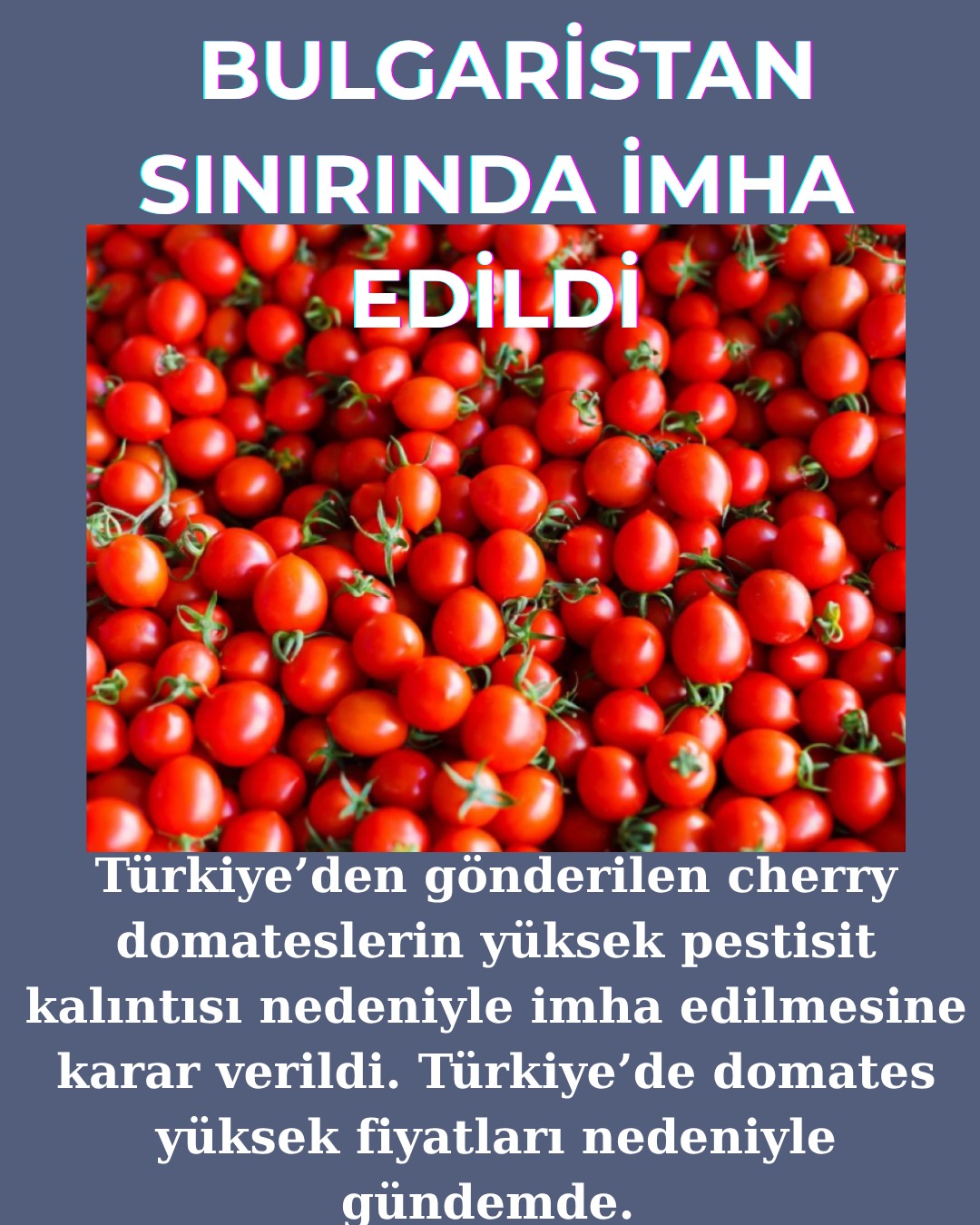Türkiye’den Avrupa’ya gönderilen yaş meyve sebzelerde pestisit alarmı sürüyor.
