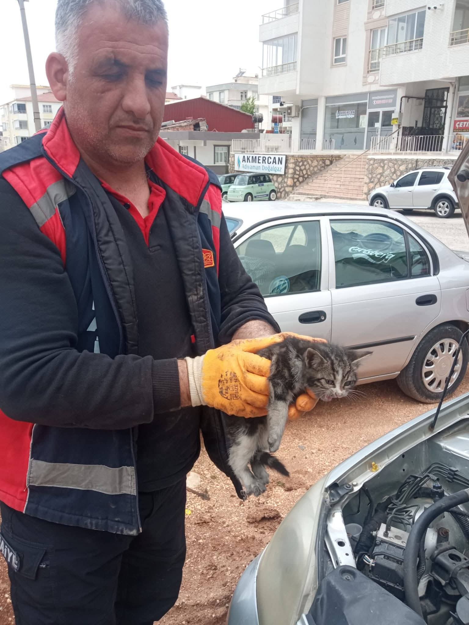 Besni'de Aracın Motor Kısmına Sıkışan Kedi Kurtarıldı